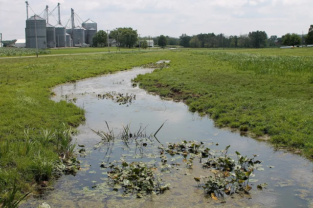 Beaver Run (County Line Branch)