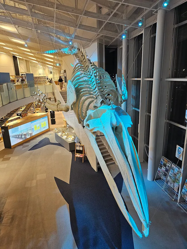 Akishima whale