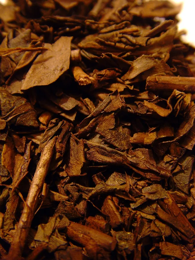 Hōjicha