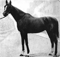 1895 Kentucky Derby