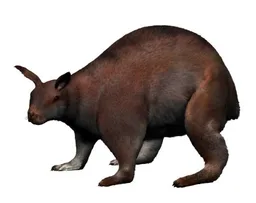 Nuralagus