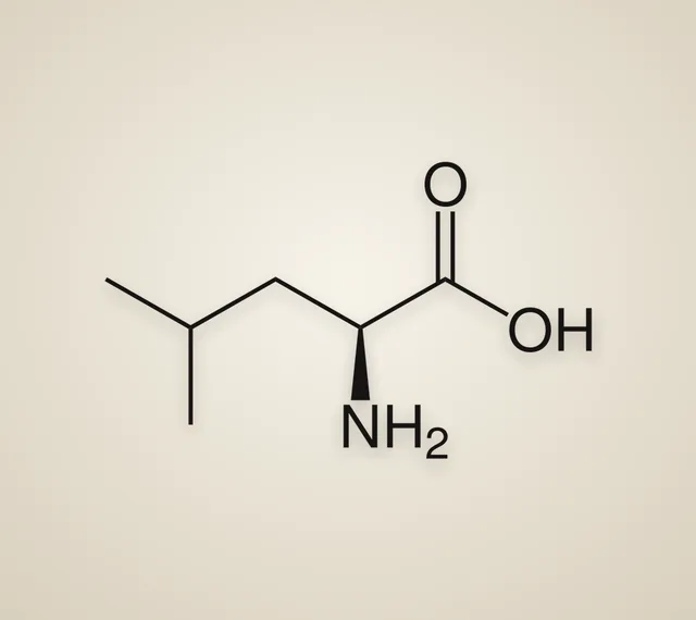 Maple syrup urine disease