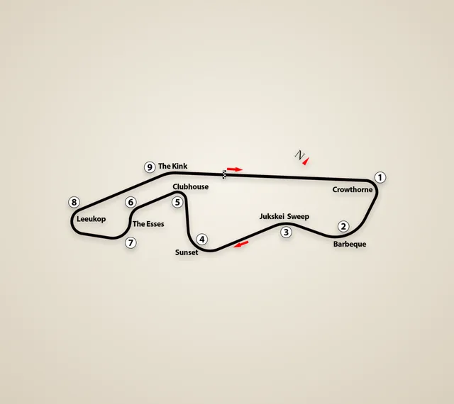 1971 South African Grand Prix
