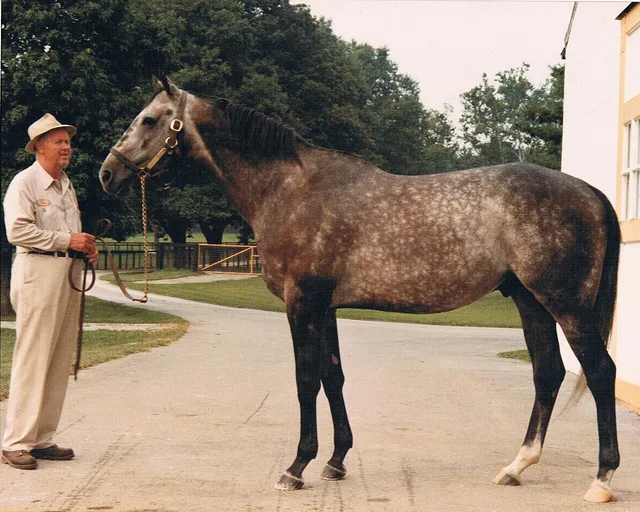 Spectacular Bid