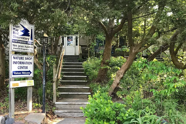 Cape May Bird Observatory