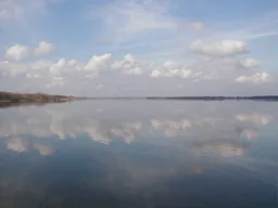 Kráľová