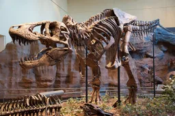 Tyrannosaurus
