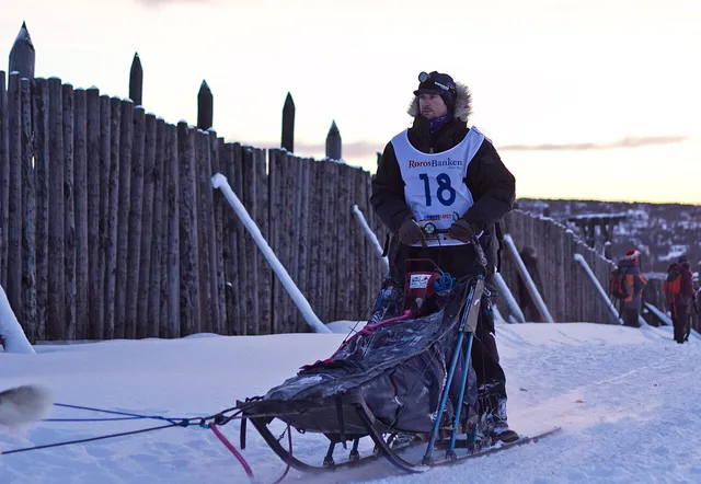 Dog sled