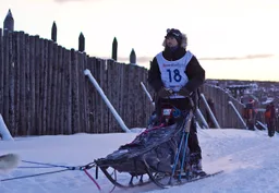 Dog sled
