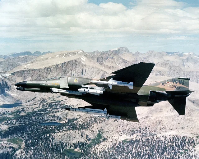 Wild Weasel