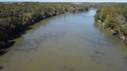 Nation Ford Fish Weir