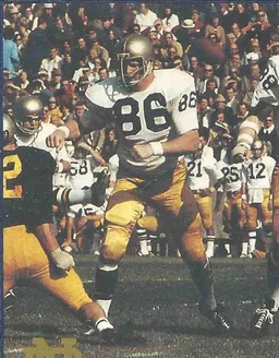 Dave Casper