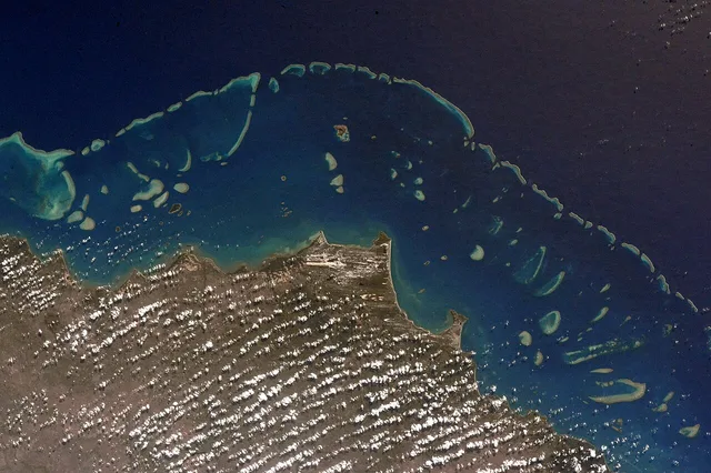 Gran barrera de coral