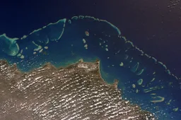 Gran barrera de coral