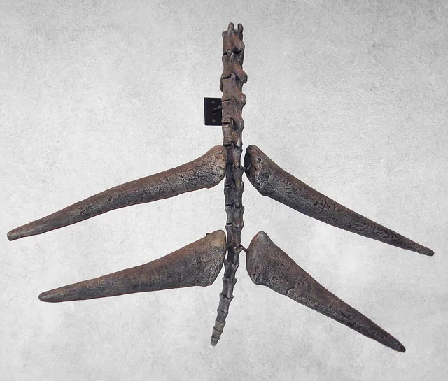 Thagomizer