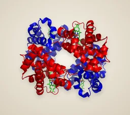 Hemoglobin