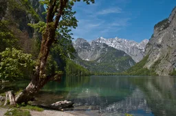 Lago Ober (Lago del Rey)