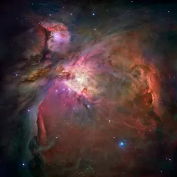Orion Nebula
