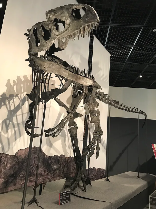 Neovenator