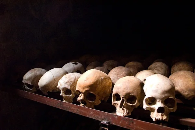 Respuesta internacional al genocidio de Ruanda