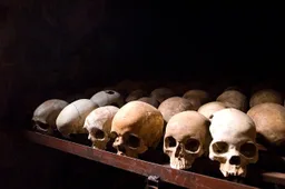 International response to the Rwandan genocide