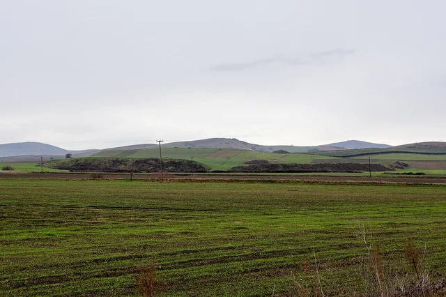 Cranón