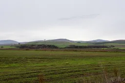 Cranón