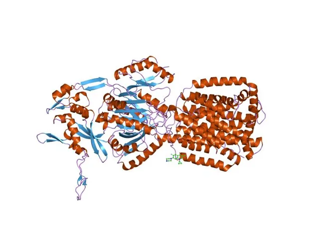 Acriflavine resistance protein family