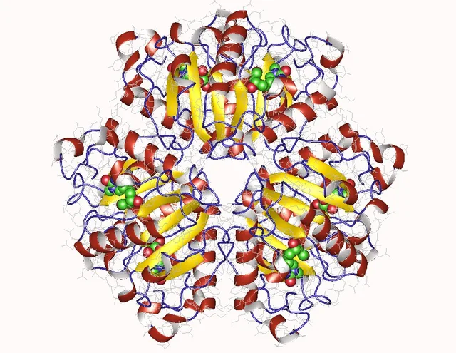 Desoxirribosiltransferasa de nucleósidos