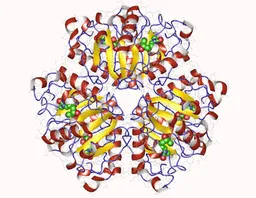 Desoxirribosiltransferasa de nucleósidos