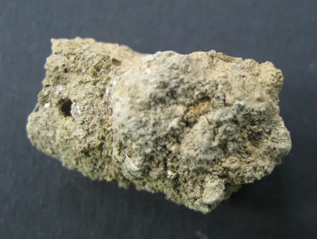 Paleofeces