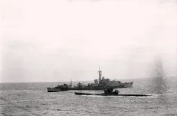 Submarino alemán U-516
