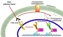 Peroxisome proliferator-activated receptors