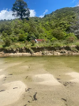 Awaroa River