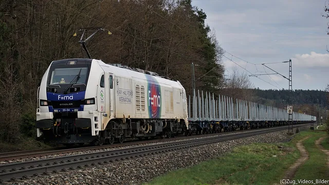 Stadler EuroDual