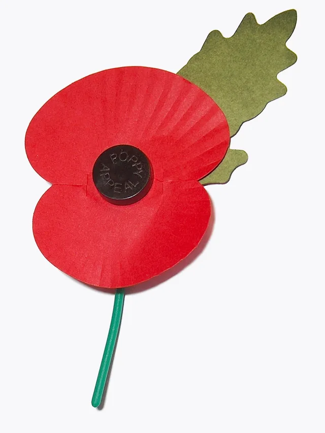Remembrance Day