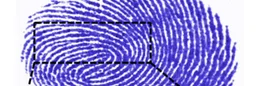 Forensic radiology