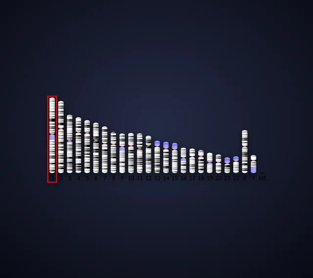 Bone morphogenetic protein 8B