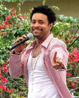 Defensa Shaggy