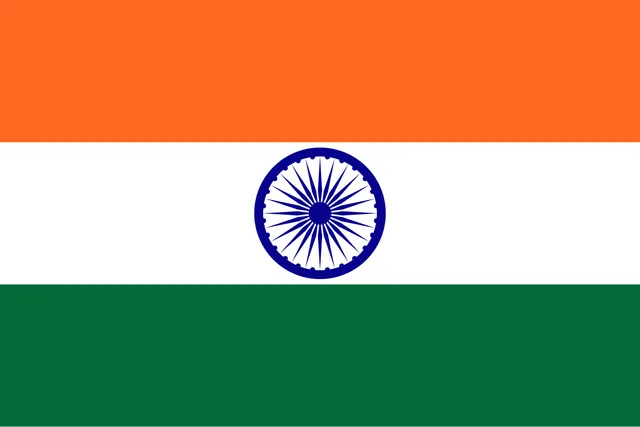 India at the 2024 Summer Paralympics