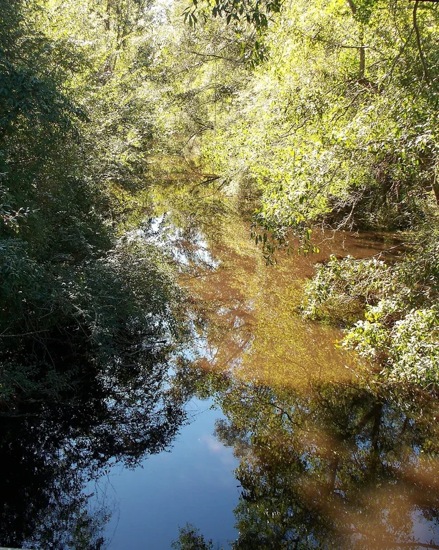 Sims Creek