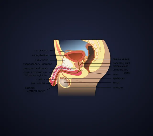 Scrotoplasty