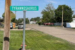 Dinosaur