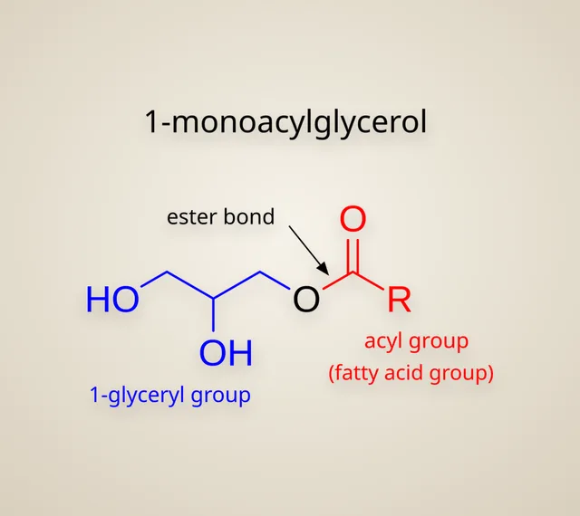 Monoglyceride