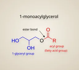 Monoglicérido